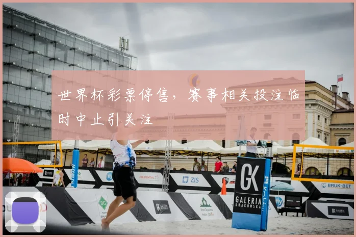 世界杯彩票停售，赛事相关投注临时中止引关注