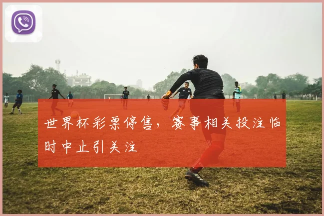 世界杯彩票停售，赛事相关投注临时中止引关注