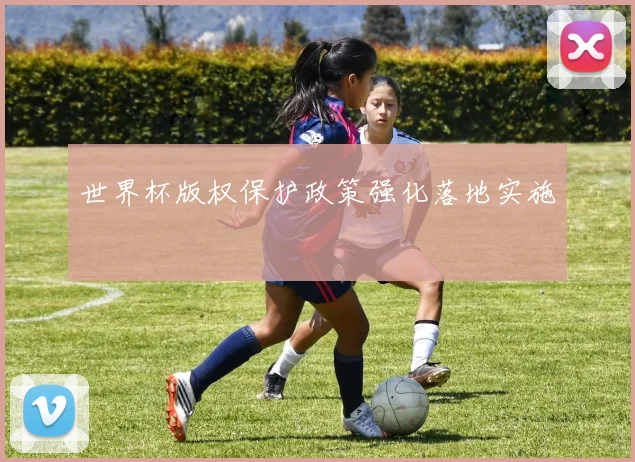 世界杯版权保护政策强化落地实施