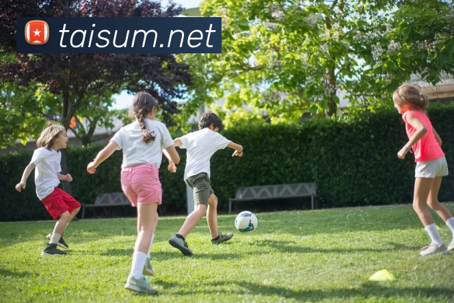 大阳城集团资料大全服务体系